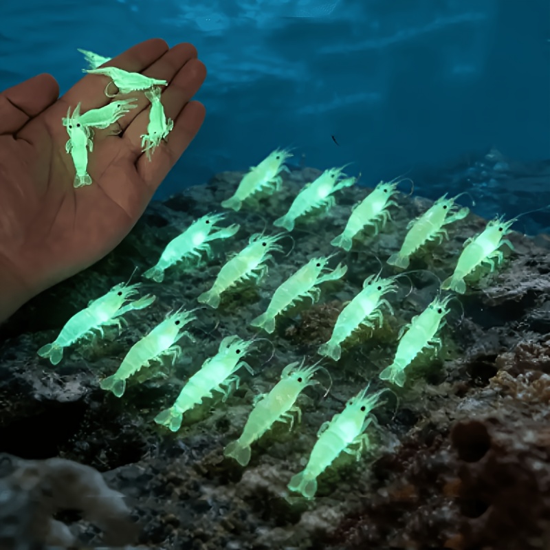 10 sztuk świecących przynęt w  – Fishing Lure Soft Plastic recenzja i cena